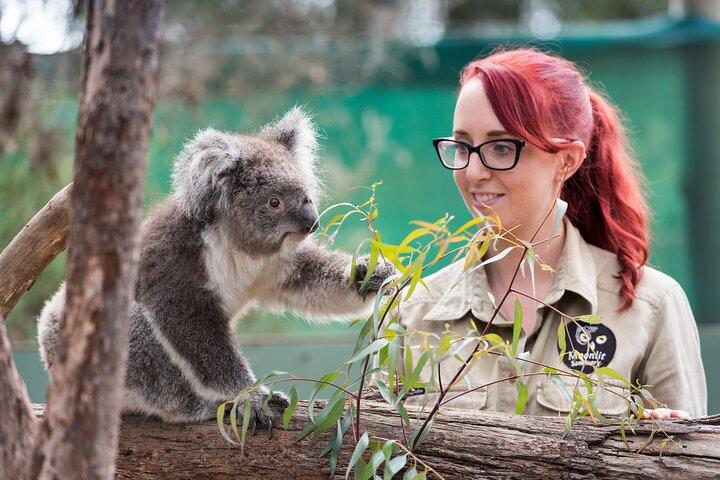 Full-Day Phillip Island Tour with Kangaroo, Koala and Penguin Parade