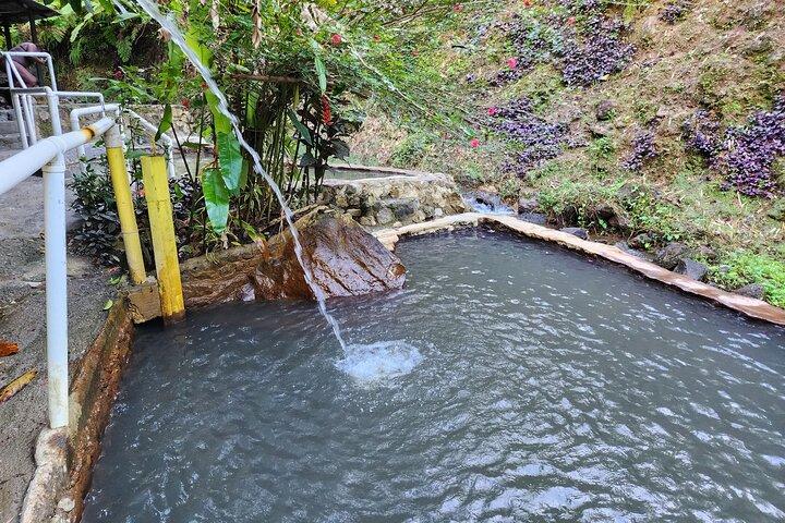 Shoreside Fun-Day with Titou Gorge, Hot Springs & Champagne Reef