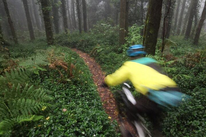 Private mountain bike tour in Lisbon/Sintra/Cascais