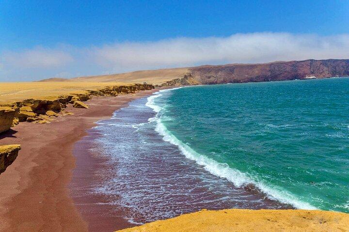 Paracas : Explore the National Reserve on a Guided Tour