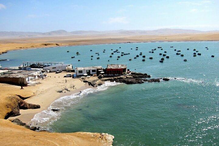 Paracas : Explore the National Reserve on a Guided Tour
