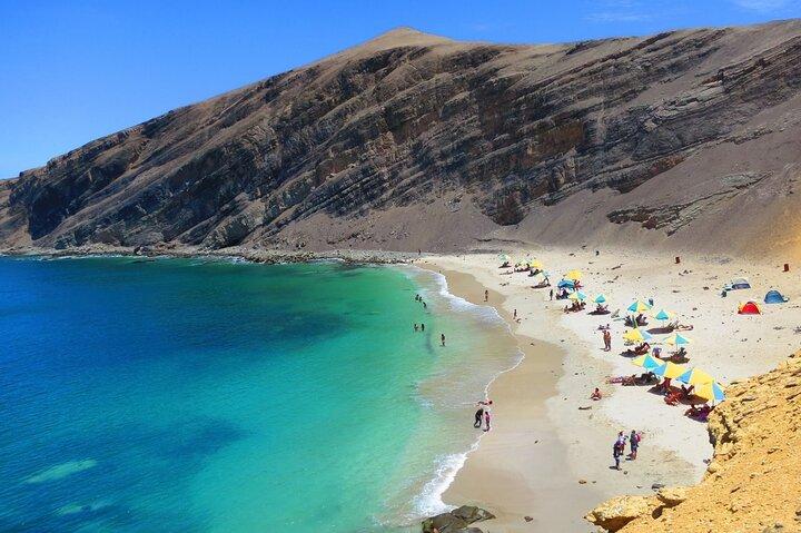 Paracas : Explore the National Reserve on a Guided Tour