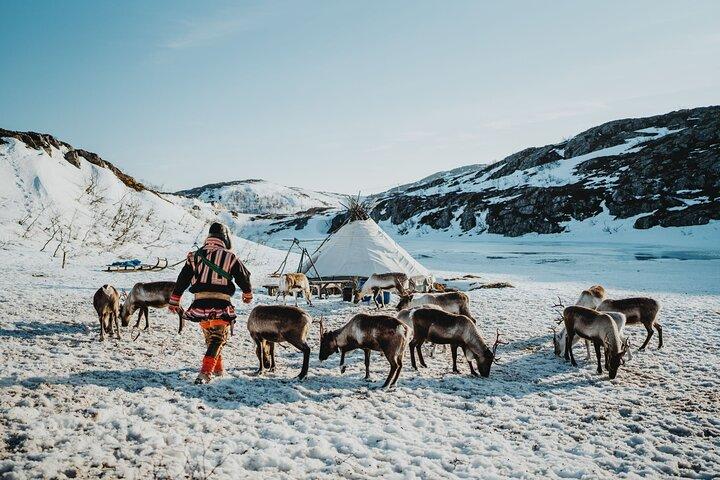 Arctic Fjords and Reindeer Experience – Small group tour