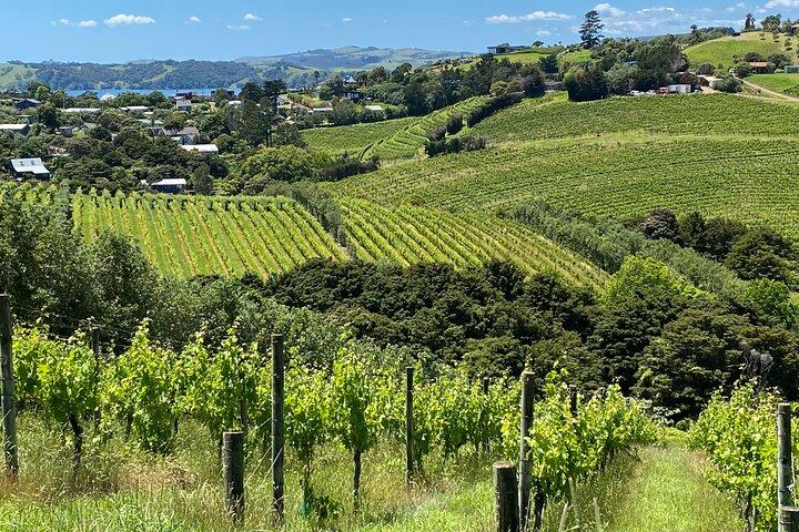Sip & Savour through Waiheke Island (11 guests max)