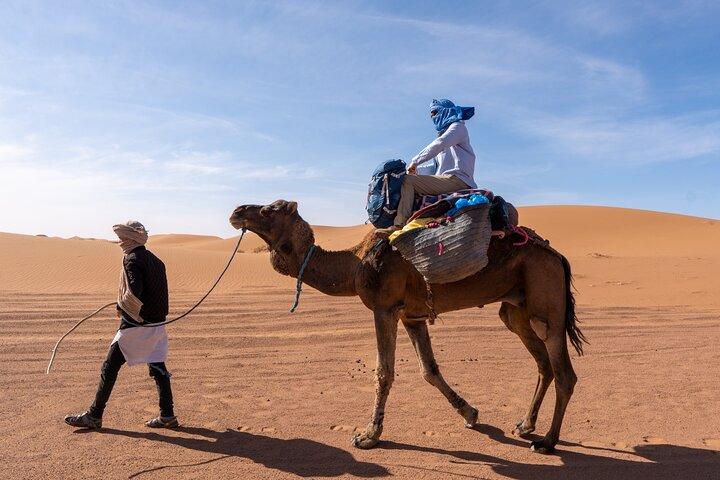 Guided Tour | Sahara Trekking: Stone Desert and Dunes