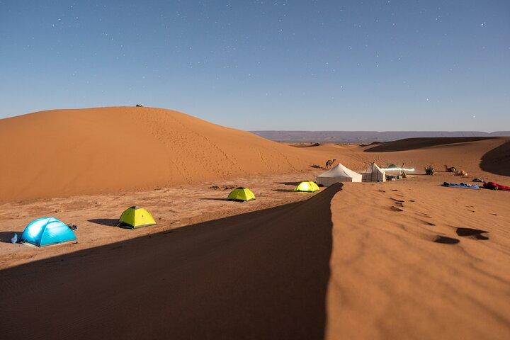 Guided Tour | Sahara Trekking: Stone Desert and Dunes