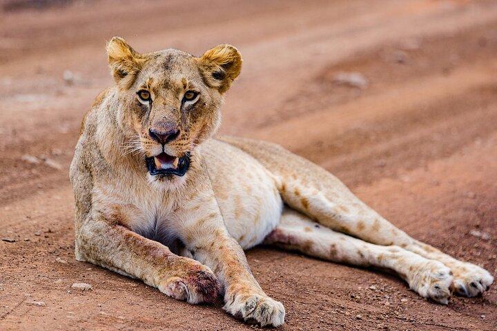 5 Days of Pure Adventure: Maasai Mara, Lake Nakuru & Hell’s Gate