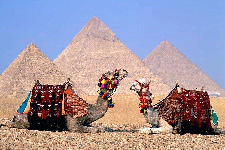 Half Day Tour To Giza Pyramids And Sphinx