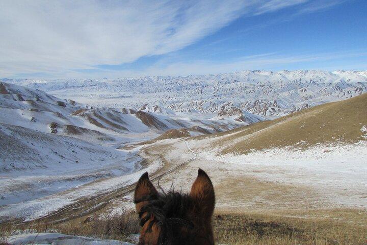 3 days horse back riding to Song-Kul lake whole year round