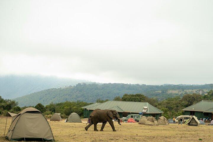 4 Days Tanzania Budget Safari