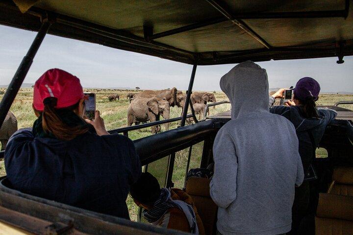4 Days Tanzania Budget Safari