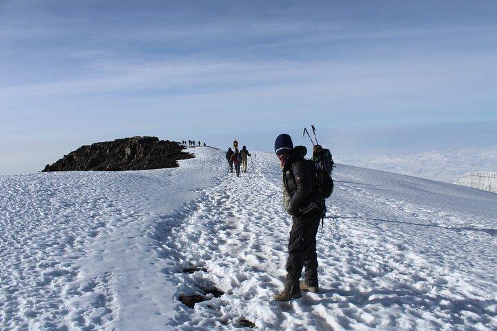 Kilimanjaro Trek 7 Days - Machame Route