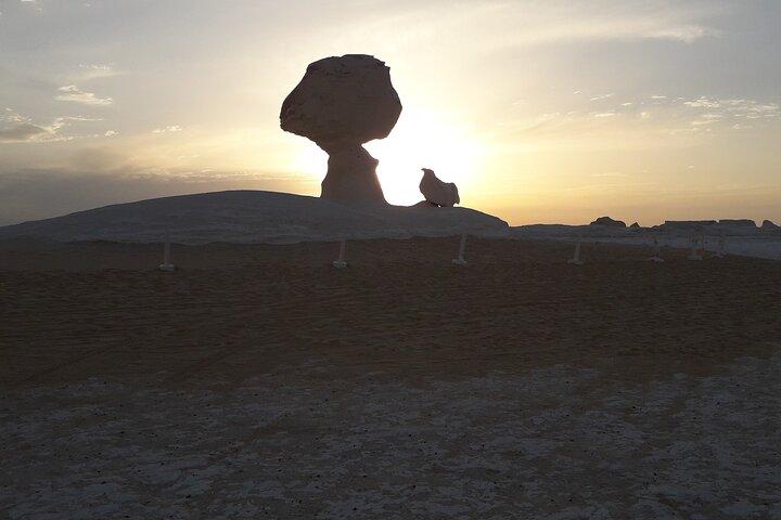 Private white and black desert from cairo 2 days 1 night