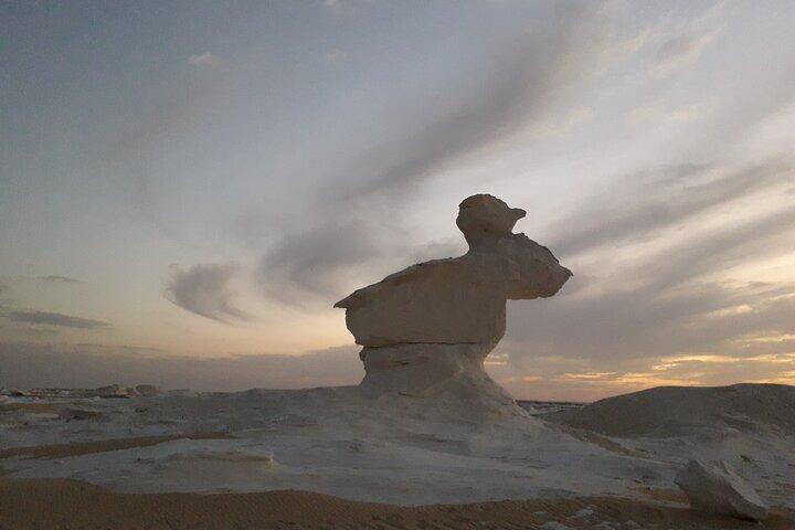 Private white and black desert from cairo 2 days 1 night