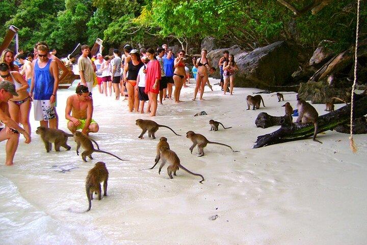 VIP Private Boat to Phi Phi Island: Snorkeling + Land Tour