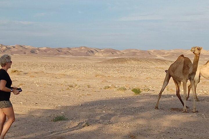 2-Days Tour of the Unique White Desert from Cairo