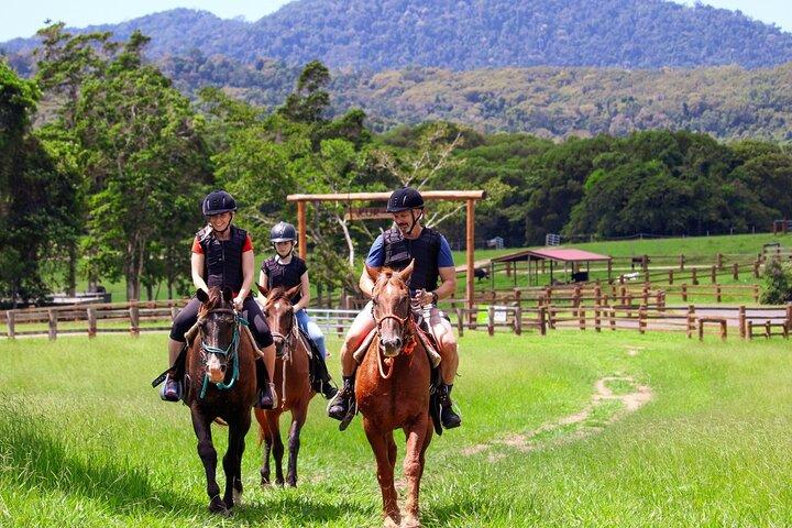 Horse and Quad bike tour with a visit to a Petting Zoo