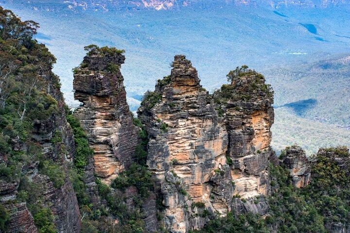 Blue Mountains Wildlife and Wonders - Private Tour