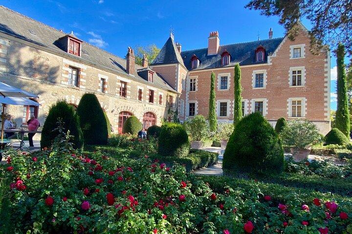 Private Royal Castles Chenonceau Amboise Da Vinci from Paris