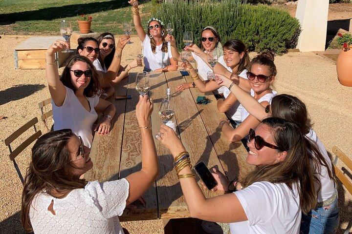 Private Full Day Wine Tour in Provence From Marseille cruise port