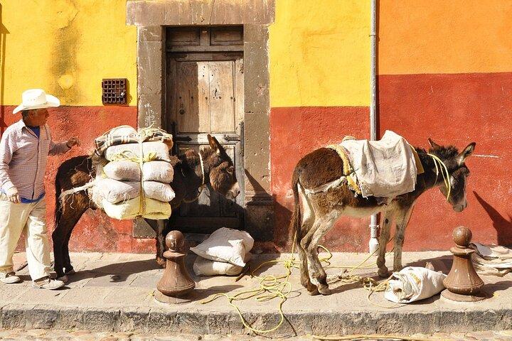 Private Transfer from Guanajuato City to San Miguel de Allende