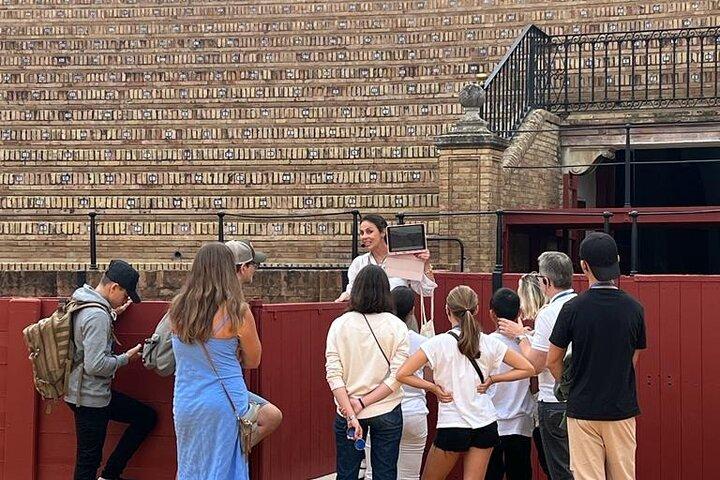 Seville Bullring: Guided Tour with Direct Entry