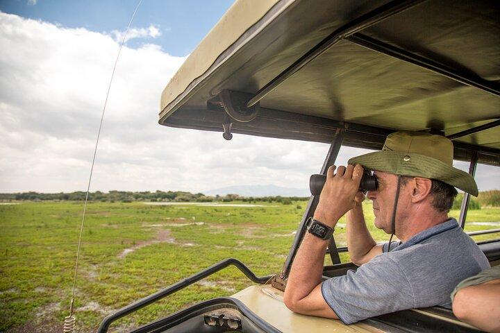 Tanzania Safari 4-day Tour