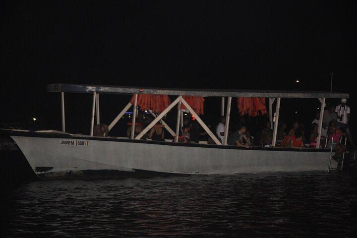 Luminous Lagoon Night Tour from Montego Bay