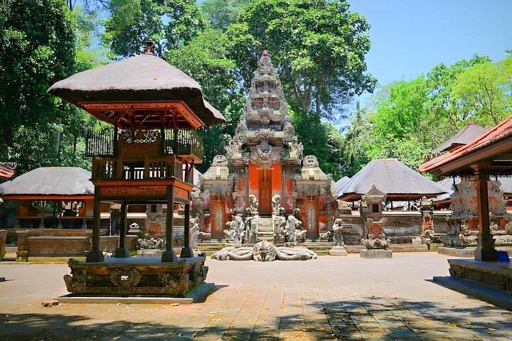 Ubud Tour With Sacred Monkey Forest Sanctuary - Waterfall - Rice Terrace