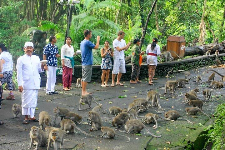 Ubud Tour With Sacred Monkey Forest Sanctuary - Waterfall - Rice Terrace