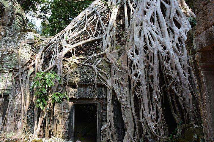 Angkor Wat Private tour from sunrise