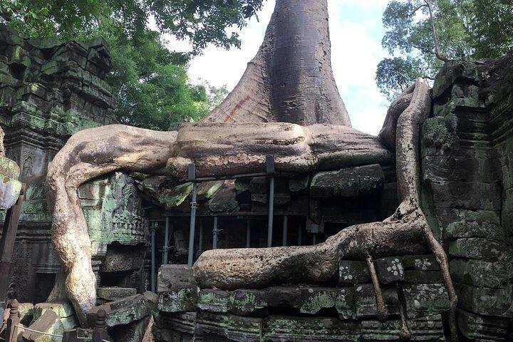 Angkor Wat Private tour from sunrise