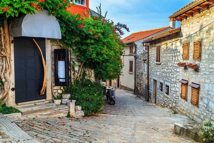 Private Cultural Walking Tour in Rovinj Old Town