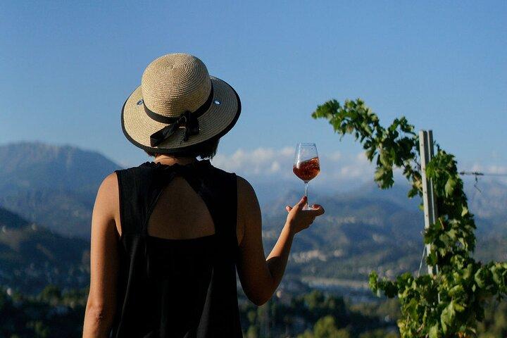 Vineyard Tour with Wine Tasting in Nice