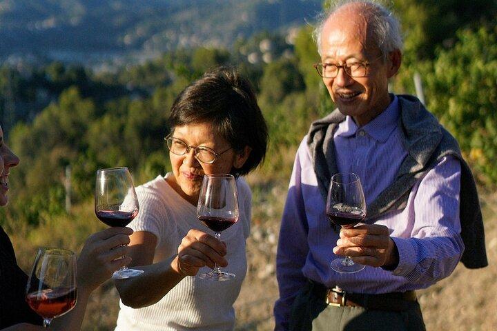 Vineyard Tour with Wine Tasting in Nice