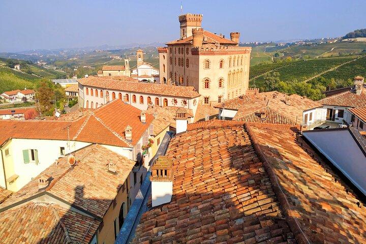"Langhe del Barolo" Private E-bike Tour - Asphalt and Dirt Road