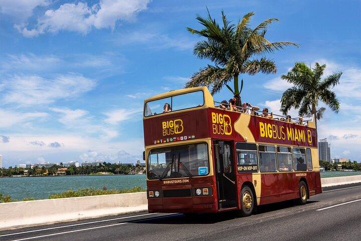 Miami Combo: Everglades, Boat Cruise & Open-Top Bus Tour