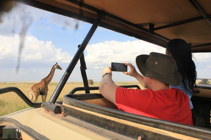 Explore Tarangire Manyara and Ngorongoro in 3 Days Safari
