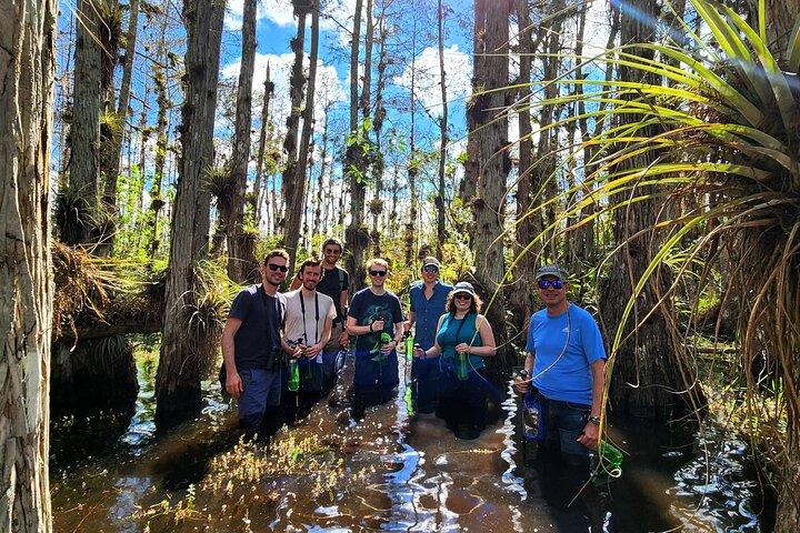Everglades Tour w/ Biologist Led WET walk + 2 Boat Trips + Lunch!
