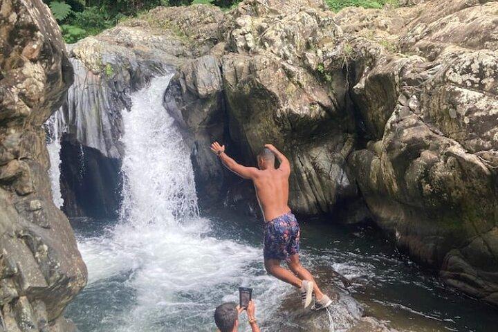 Immersive El Yunque Rainforest Adventure with Transportation