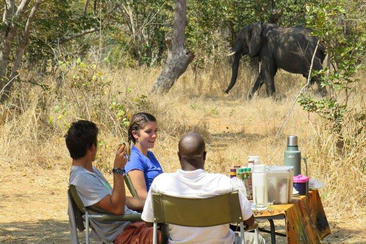 Chobe Safari Overnight Camping Trip