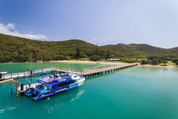 Bay of Islands Discovery Experience from Auckland incl. Hole In The Rock Cruise