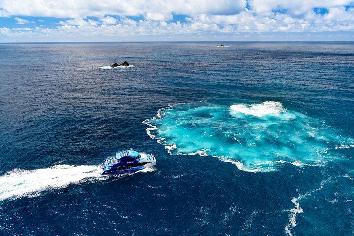 Bay of Islands Discovery Experience from Auckland incl. Hole In The Rock Cruise