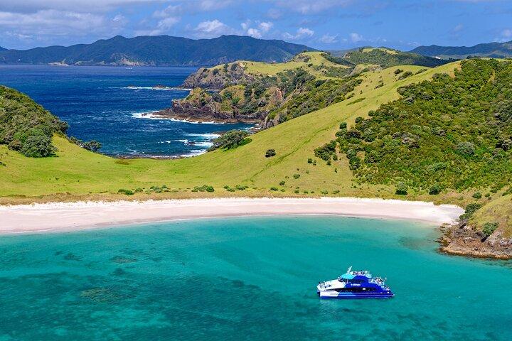 Bay of Islands Discovery Experience from Auckland incl. Hole In The Rock Cruise
