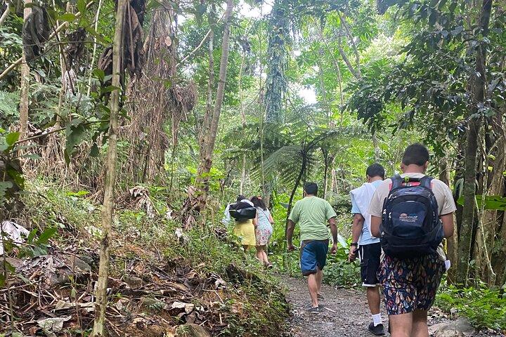 El Yunque Rainforest Hiking Tour from San Juan