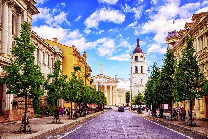 Private Historic Royal Walking Tour in Vilnius Old Town