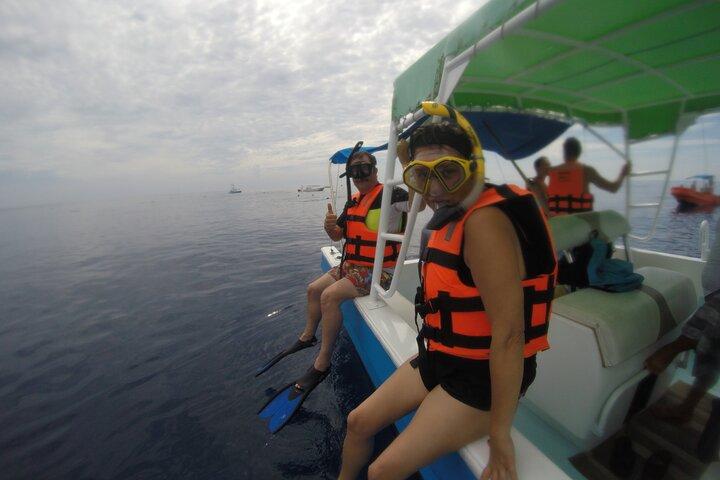 Full-Day Whale Shark Tour Puerto Morelos with Pickup and Lunch