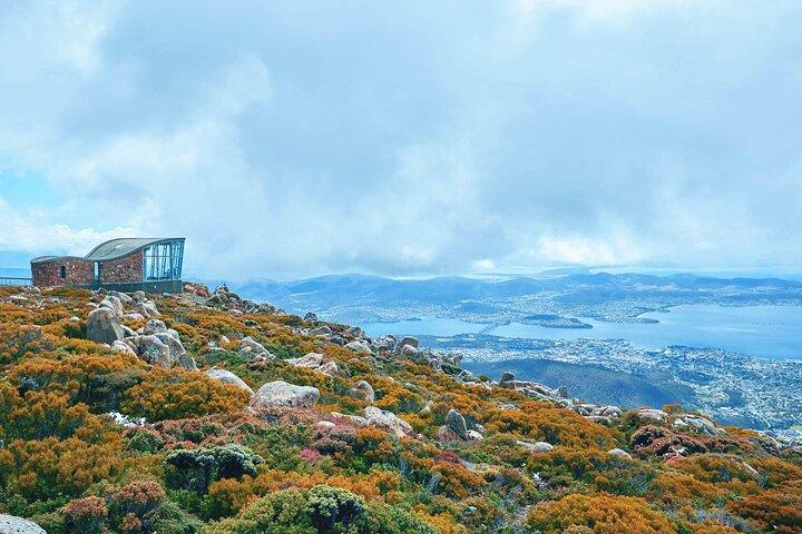 Shore Excursion-Hobart Wanderer