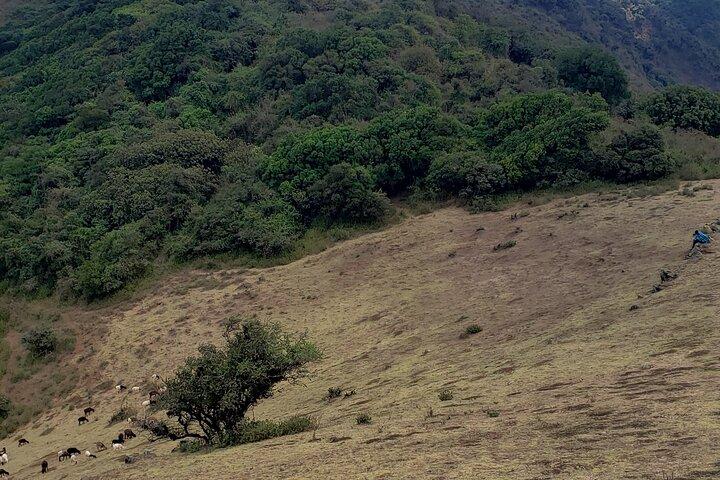 Private Half Day Hike to Ngong Hills from Nairobi