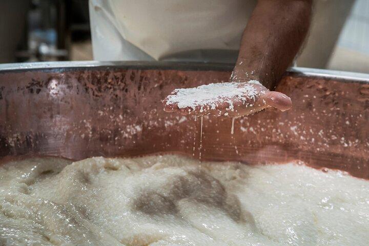 Slow Parma Food Experience Half Day Private Tour and Tasting